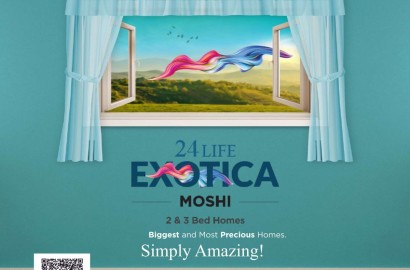 24 Life Exotica